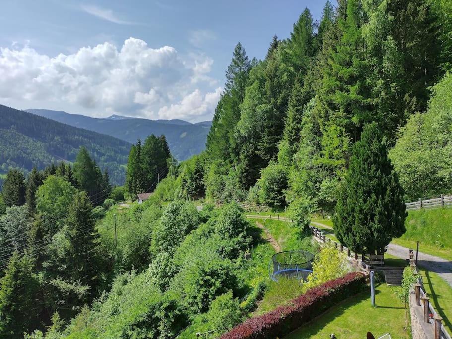 Fw Schnuckel In 300A Altem Bergbauernhaus 1110M Plessnitz Екстер'єр фото